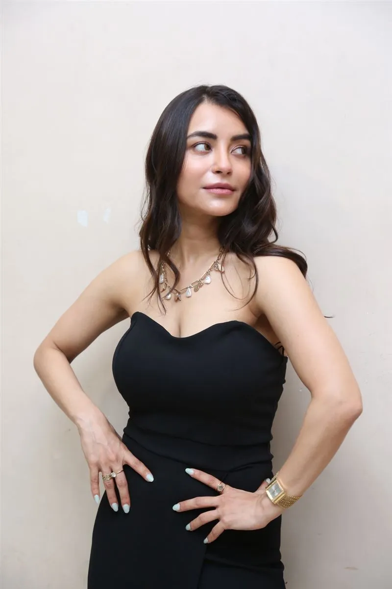 TELUGU ACTRESS NIKKESHA RANGWALA STILLS IN BLACK TOP 2